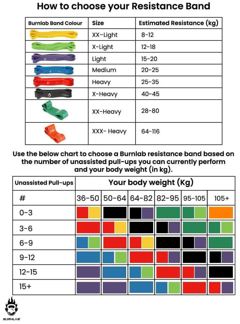 ✨Resistance Band Set for Heavy Workout | Limited in Stock 🔥🏋🏻